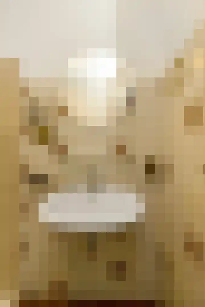 Doonheide 32 Gemert thumbnail 14