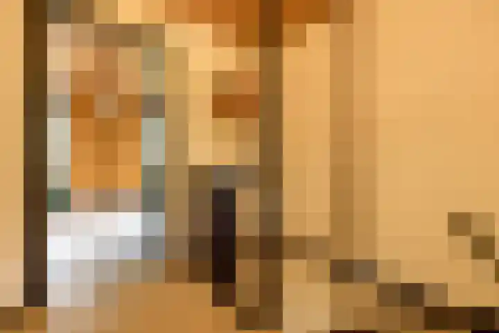 Doonheide 32 Gemert thumbnail 15