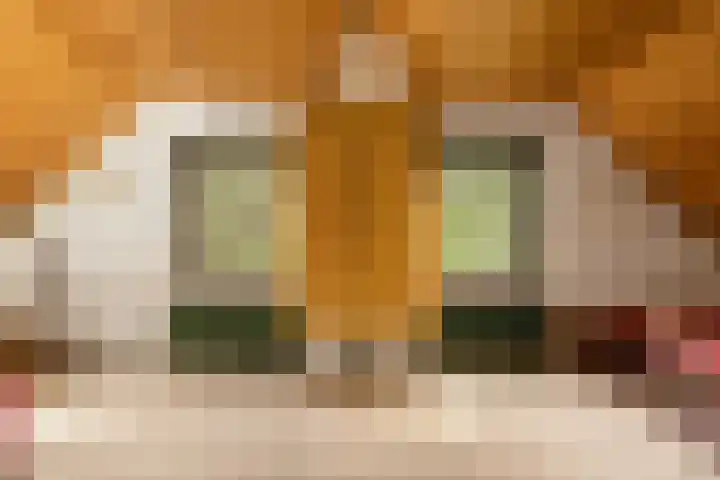 Doonheide 32 Gemert thumbnail 16