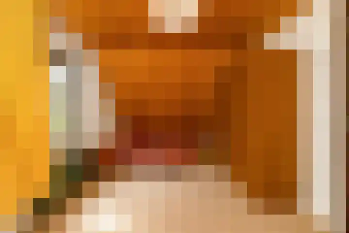 Doonheide 32 Gemert thumbnail 17