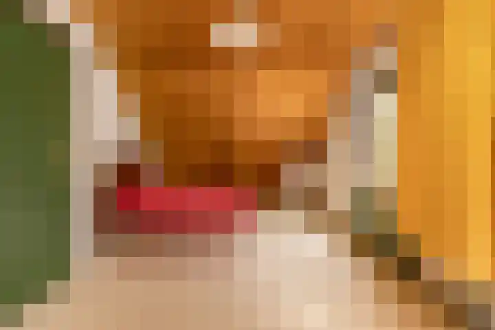 Doonheide 32 Gemert thumbnail 18