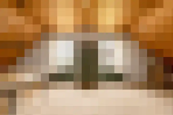 Doonheide 32 Gemert thumbnail 19