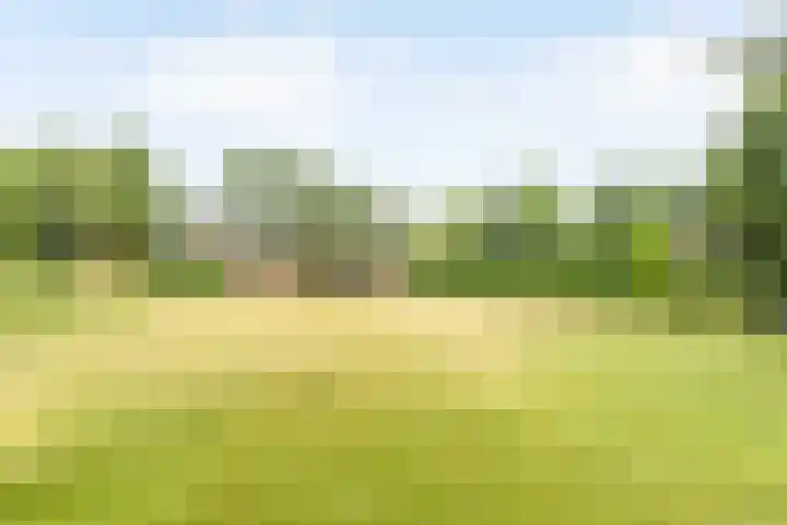 Doonheide 32 Gemert foto 2