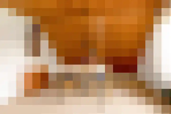 Doonheide 32 Gemert thumbnail 20