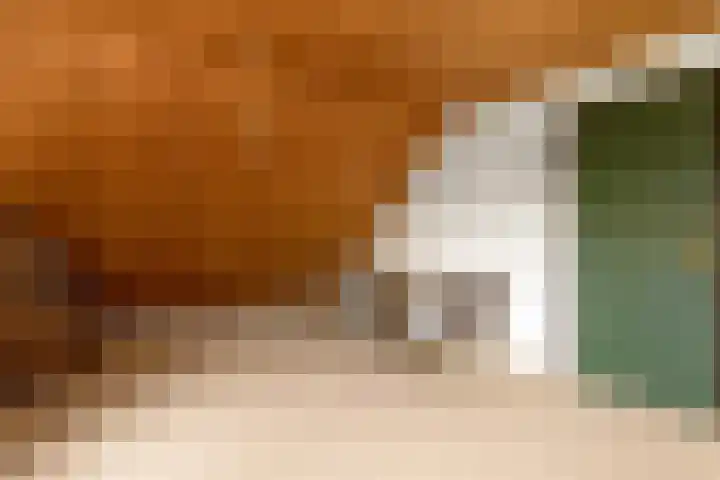 Doonheide 32 Gemert thumbnail 21