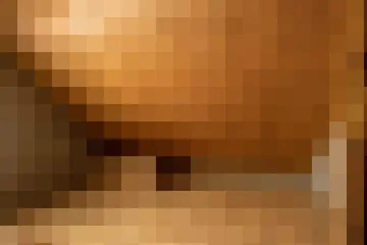 Doonheide 32 Gemert thumbnail 22