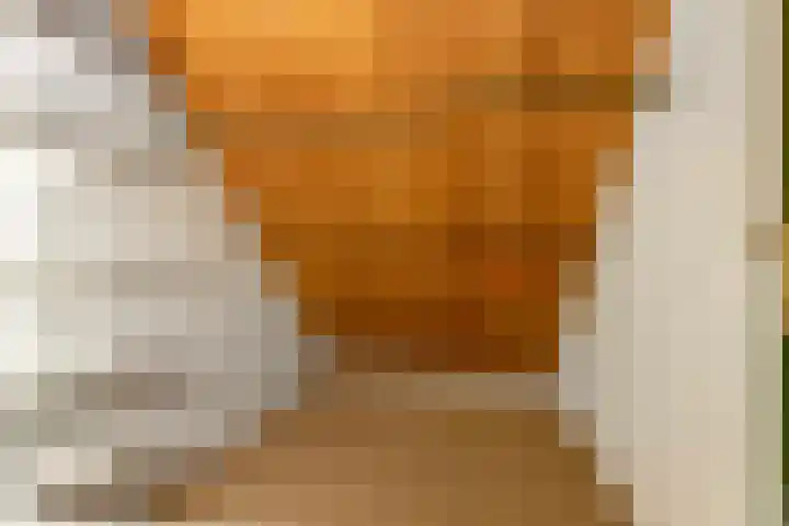 Doonheide 32 Gemert thumbnail 23