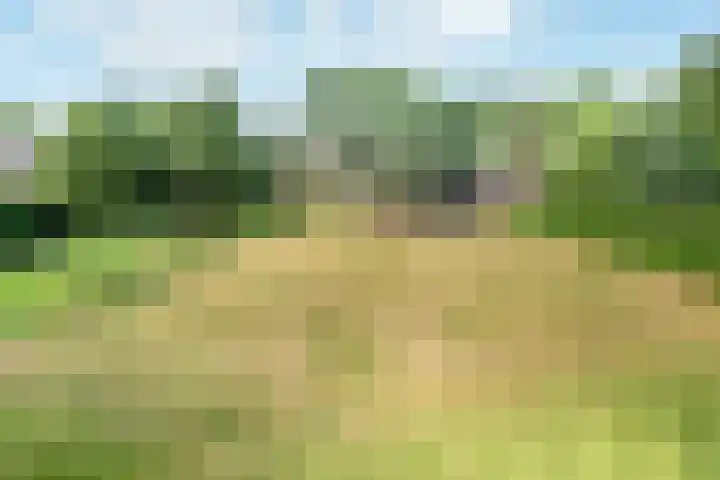 Doonheide 32 Gemert thumbnail 24