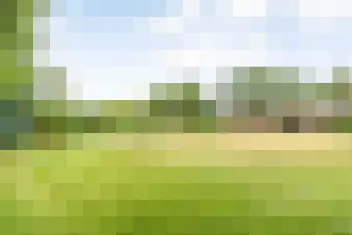 Doonheide 32 Gemert thumbnail 25