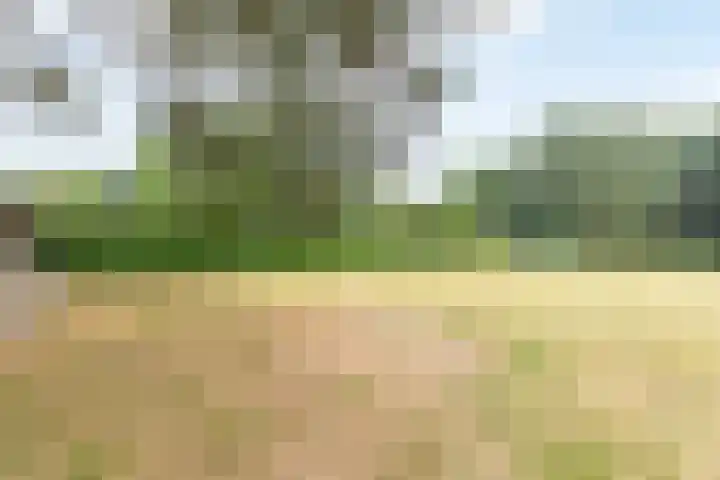 Doonheide 32 Gemert thumbnail 26