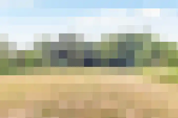 Doonheide 32 Gemert thumbnail 27