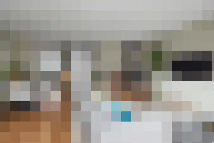 Doonheide 32 Gemert thumbnail 28