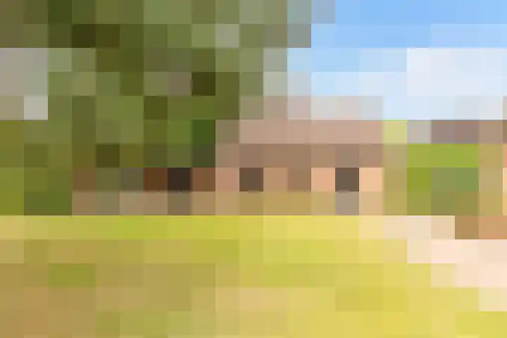 Doonheide 32 Gemert thumbnail 29