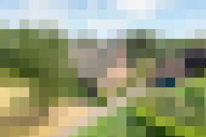 Doonheide 32 Gemert foto 3