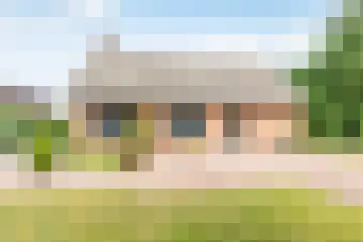 Doonheide 32 Gemert thumbnail 30