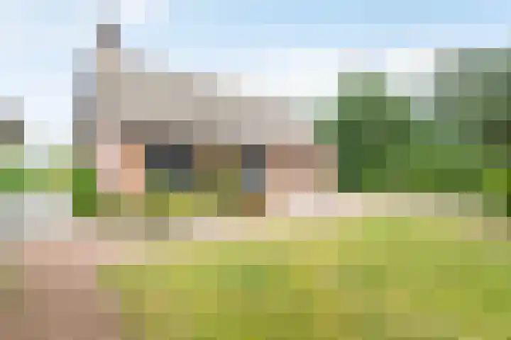 Doonheide 32 Gemert thumbnail 32