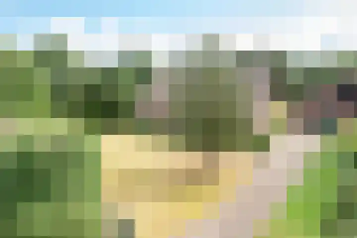 Doonheide 32 Gemert thumbnail 34