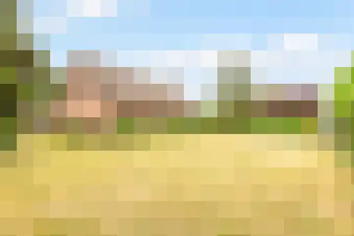 Doonheide 32 Gemert thumbnail 36