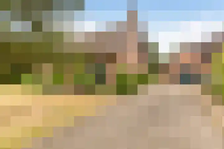 Doonheide 32 Gemert thumbnail 37