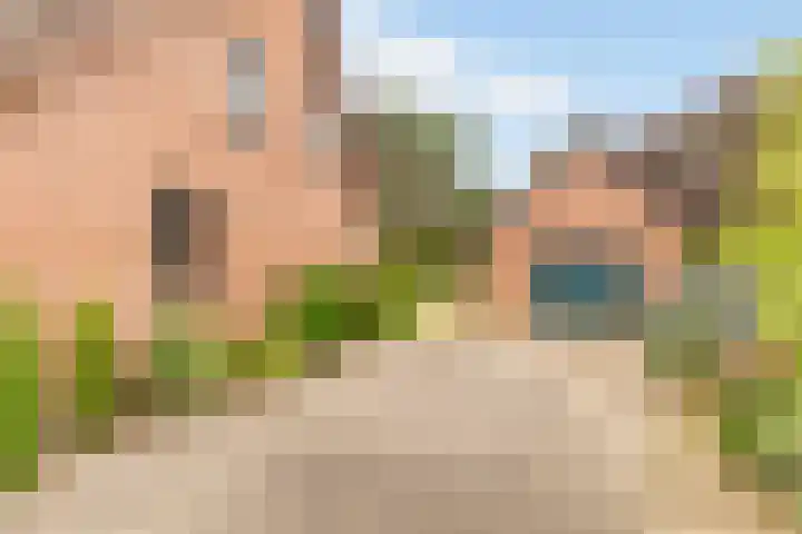 Doonheide 32 Gemert thumbnail 38