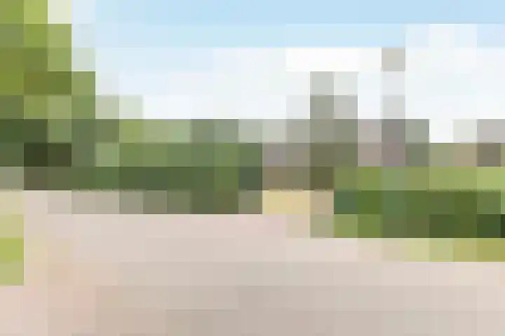 Doonheide 32 Gemert thumbnail 39