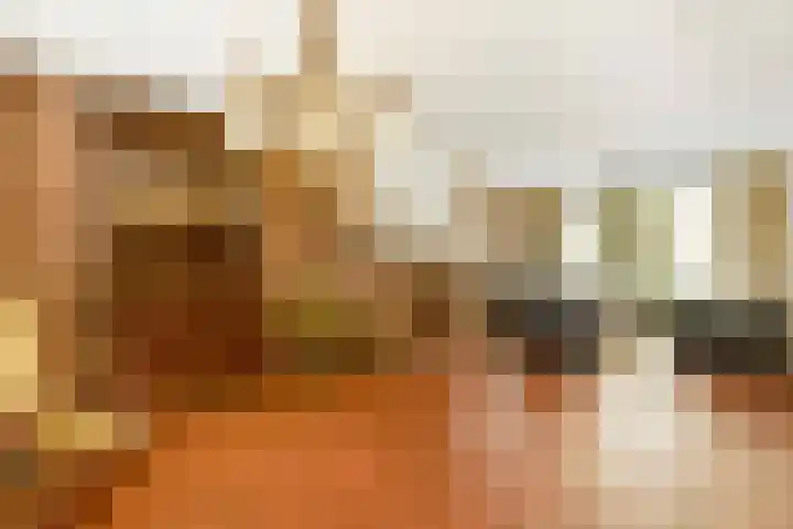 Doonheide 32 Gemert thumbnail 4