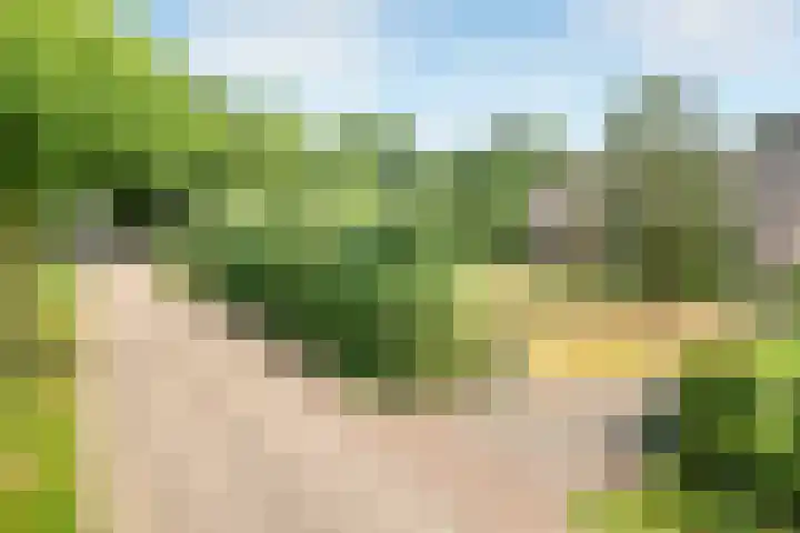 Doonheide 32 Gemert thumbnail 40