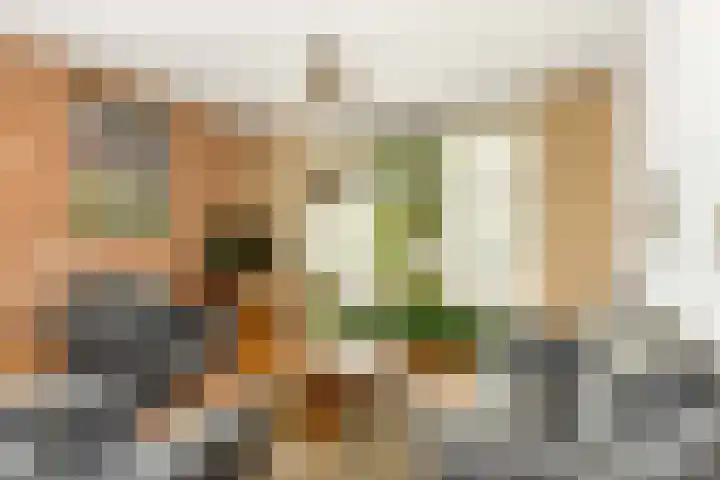 Doonheide 32 Gemert thumbnail 5