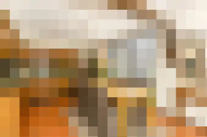 Doonheide 32 Gemert thumbnail 7