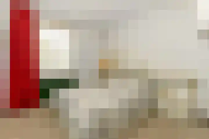 Doonheide 32 Gemert thumbnail 9