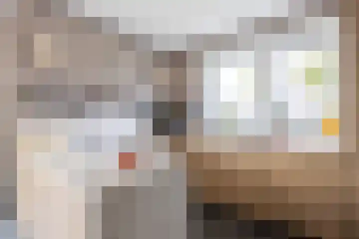 Doorloper 10 Sappemeer thumbnail 14