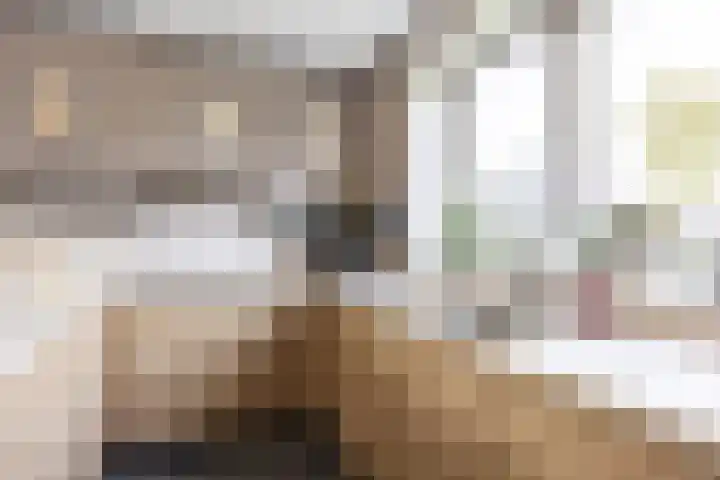 Doorloper 10 Sappemeer thumbnail 15