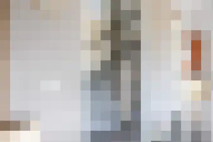 Doorloper 10 Sappemeer thumbnail 33
