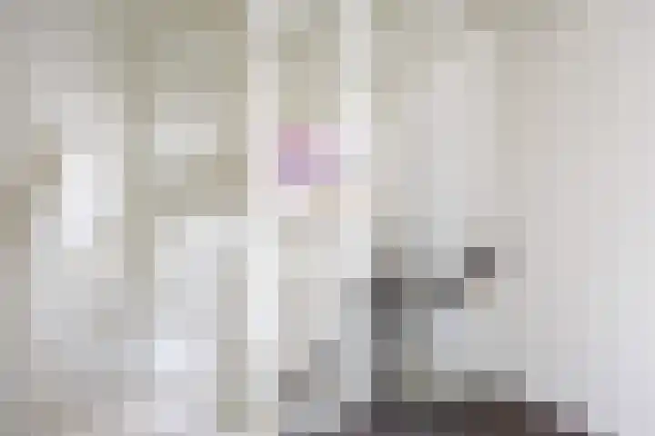 Doorloper 10 Sappemeer thumbnail 36