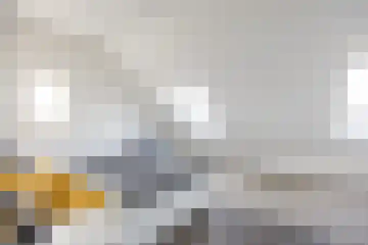 Doorloper 10 Sappemeer thumbnail 53