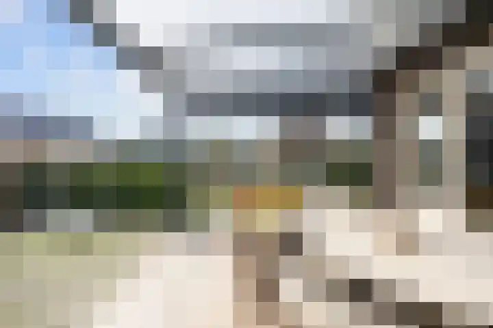 Doorloper 10 Sappemeer thumbnail 61