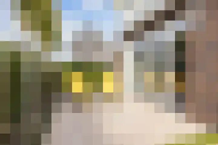 Doorloper 10 Sappemeer thumbnail 64