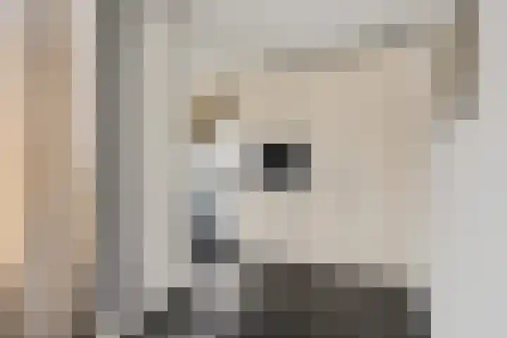Doormanlaan 32 Baarn thumbnail 6