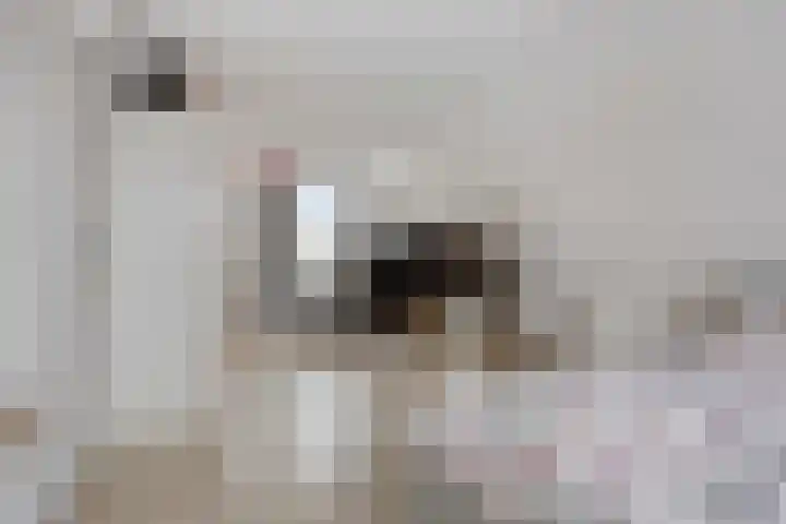 Doormanstraat 11 Dongen thumbnail 31