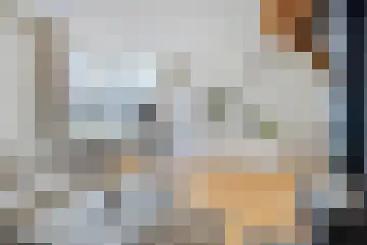 Doormanstraat 22 Borne thumbnail 16