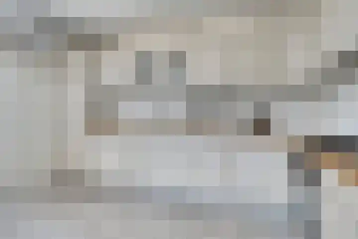 Doormanstraat 22 Borne thumbnail 21