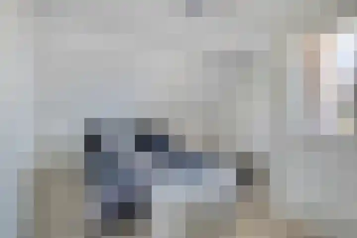 Doormanstraat 22 Borne thumbnail 25