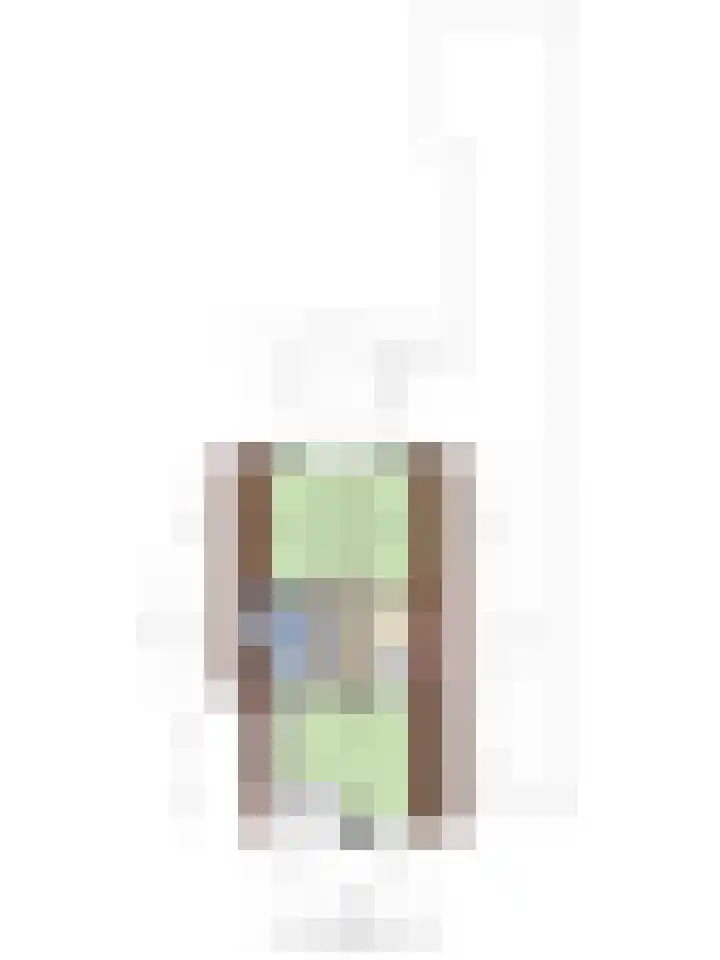 Doormanstraat 22 Borne thumbnail 47