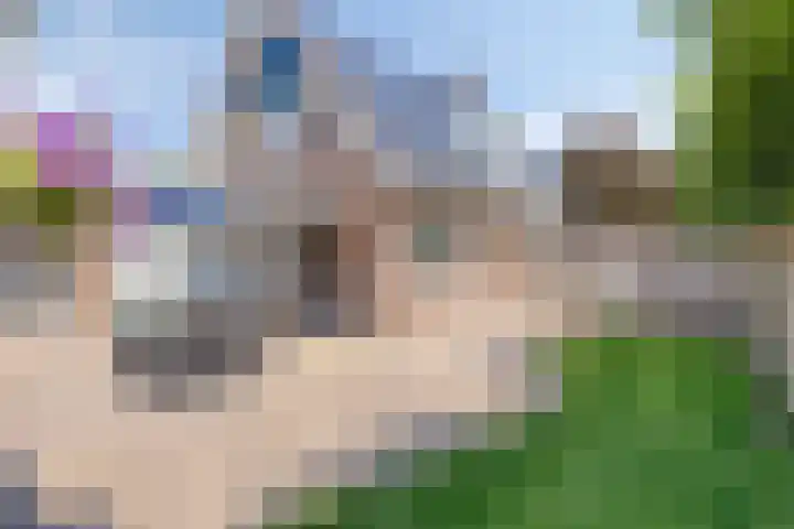 Doormanstraat 22 Borne thumbnail 6