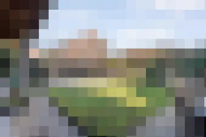 Doormanstraat 7 Ommen thumbnail 36