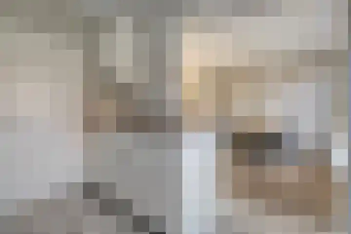 Doormanstraat 7 Ommen thumbnail 6