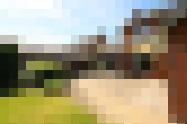 Doormanweg 20 Heel thumbnail 12
