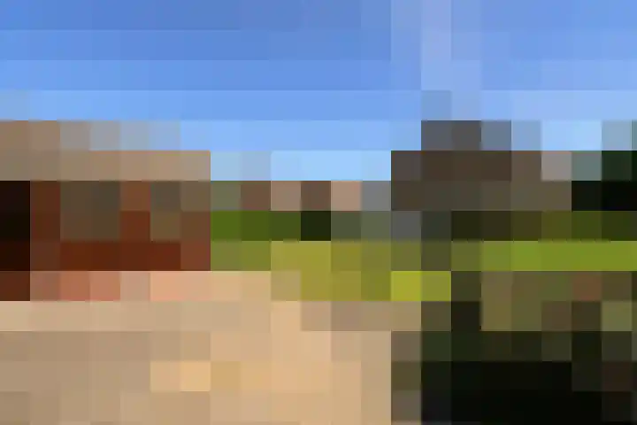 Doormanweg 20 Heel thumbnail 22