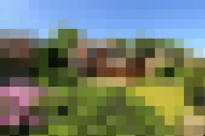 Doormanweg 20 Heel thumbnail 23