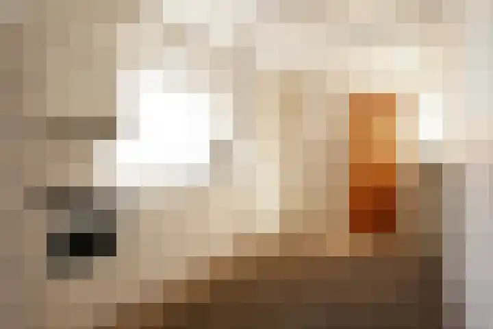 Doormanweg 20 Heel thumbnail 8